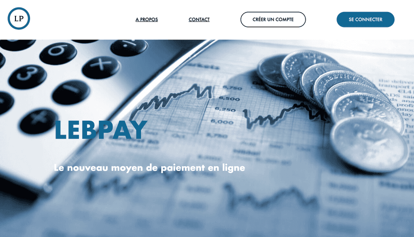Portfolio Mockup